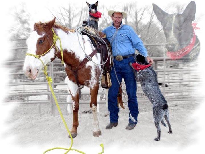 In-memory-of-Cheyenne.-Notice-Skidboot-looking-down-on-the-group-from-heaven-