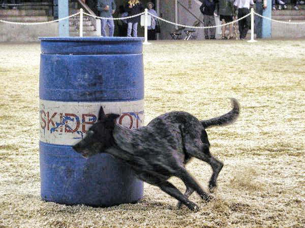 Skidboot-barrel-racing-1